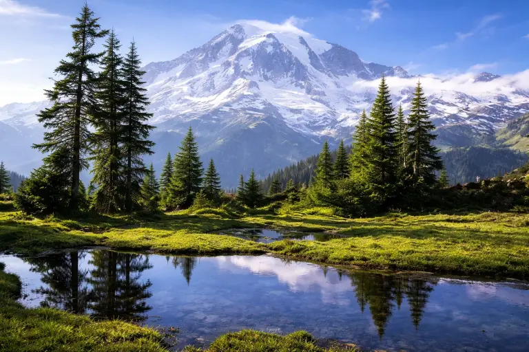 Meghalaya Tour Packages