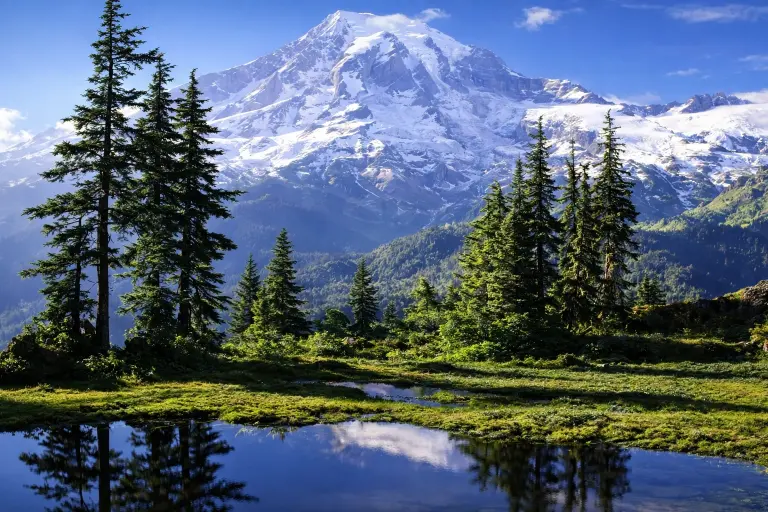 Sikkim Tour Packages