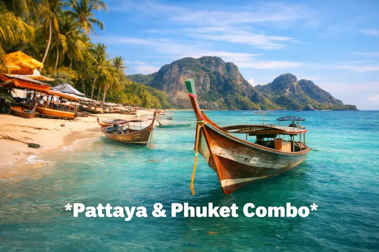 Dubai city tour with desert safari and BBQ dinner